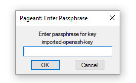 Pageant Password